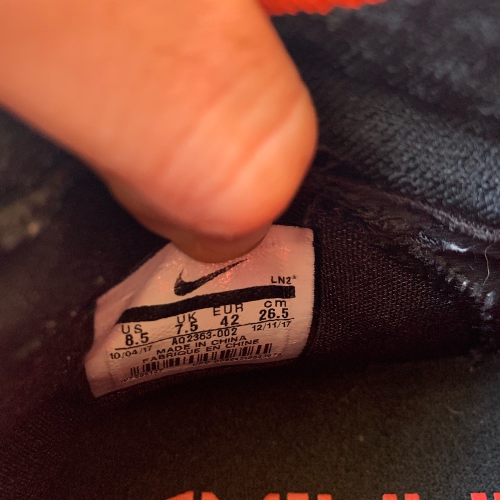 Labrons - Picture 3 of 3